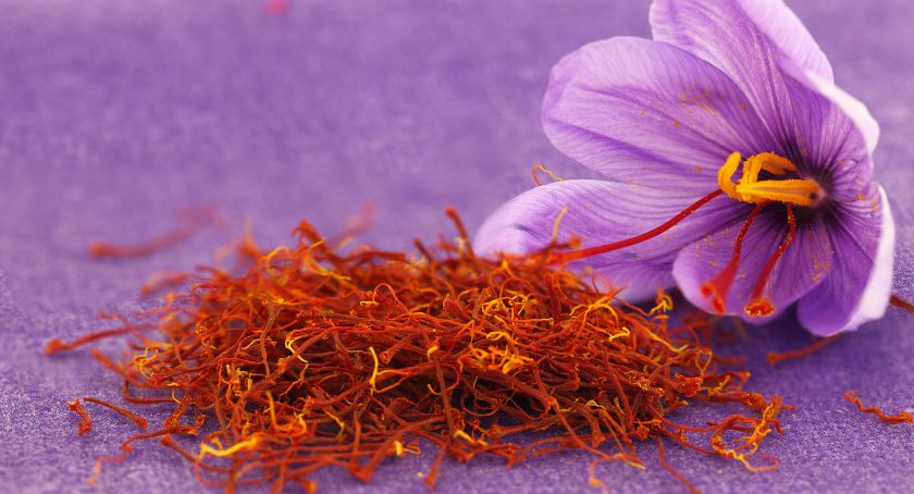 The Modern Standard for Saffron: Why Traceability and Clinical Evidence Matter